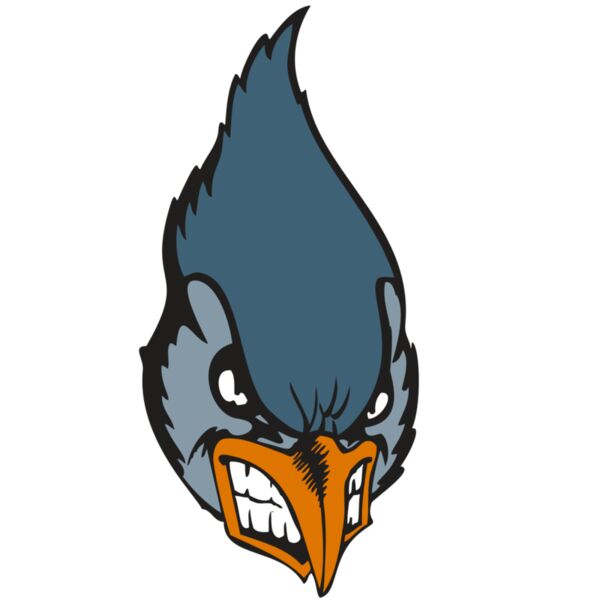 BAW BLUEJAY 01 RC Thumbnail